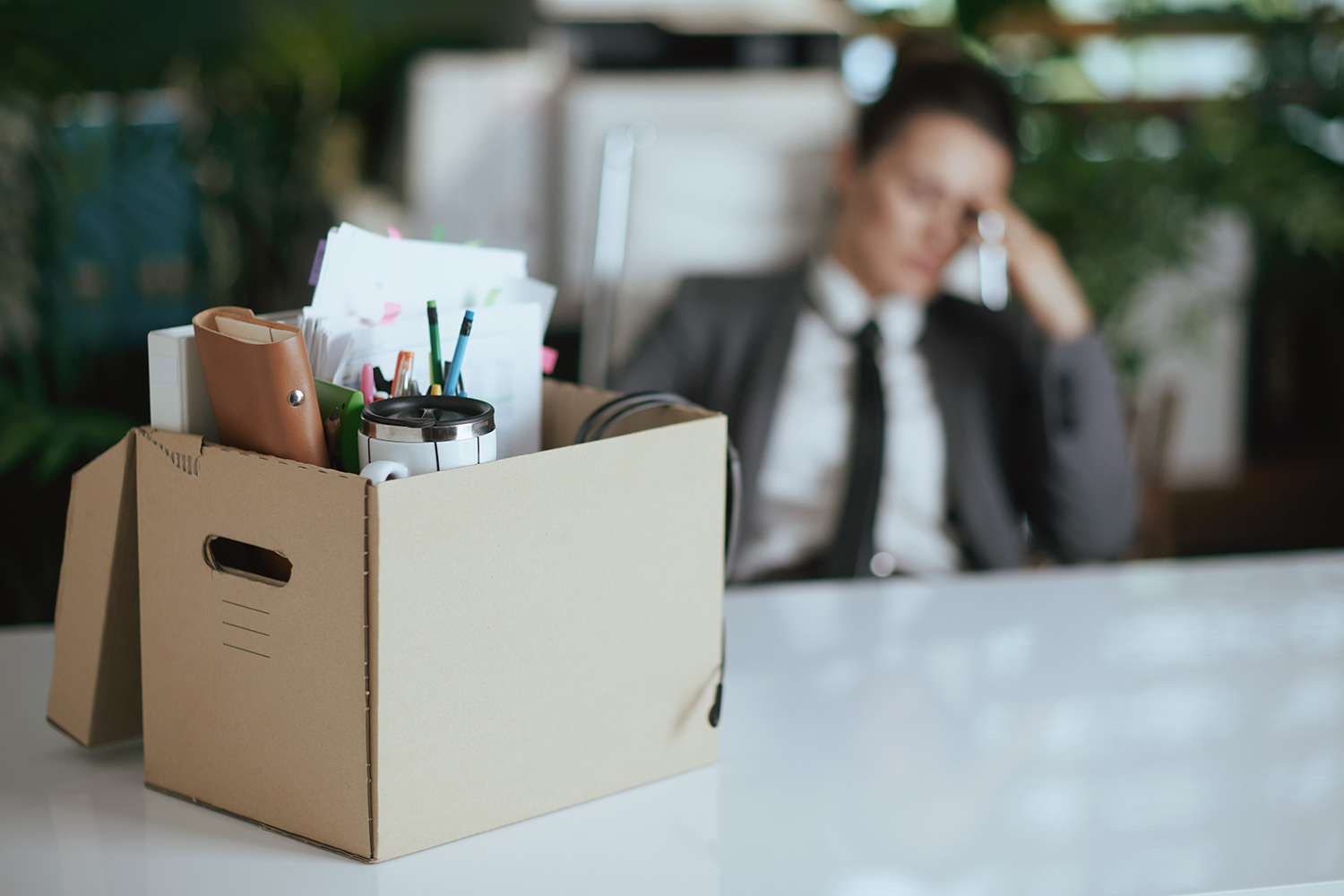 Video: alles over arbeid ZZP'er raadpleegt internet over wetsvoorstel VBAR